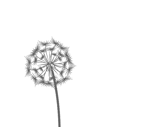 Dandelion031715_01